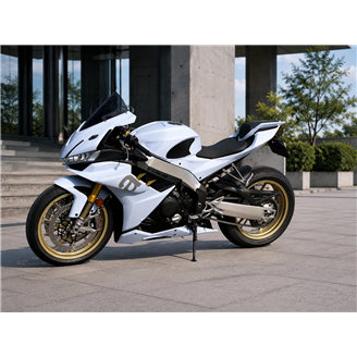 Carenados en abs pintados para la calle compatible con Aprilia RSV4 1100 2021 - 2024 - MXPCAV19480