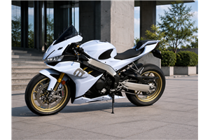 Carenage en abs pour la roue avec peinture compatible avec Aprilia RSV4 1100 2021 - 2024 - MXPCAV19480