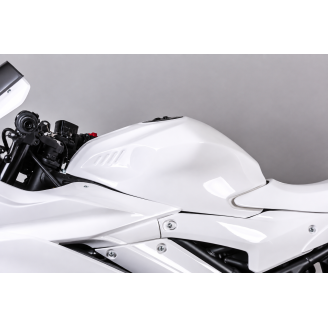Yamaha R3 2019 - 2024 race Verkleidungen ohne Kotflugel Racing VS2 - MXPCRD11952