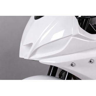 Yamaha R3 2019 - 2024 race Verkleidungen ohne Kotflugel Racing VS2 - MXPCRD11952