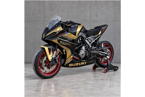 Lackierte Rennverkleidung Suzuki Gsx-8R 2024 - 2026 - MXPCRV19638