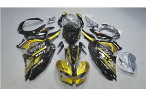 Lackierte Straße Verkleidung auf ABS kompatibel mit Kawasaki Ninja 500 2024 - 2025 - MXPCAV19290