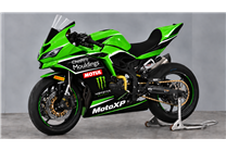 Lackierte Rennverkleidung Kawasaki Ninja ZX4-R 2024 - 2026 - MXPCRV19808