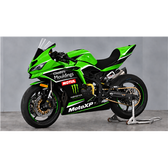 Carene Racing Verniciate Kawasaki Ninja ZX4-R 2024 - 2026 - MXPCRV19808