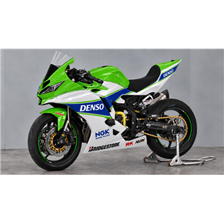 Lackierte Rennverkleidung Kawasaki Ninja ZX4-R 2024 - 2026 - MXPCRV19817