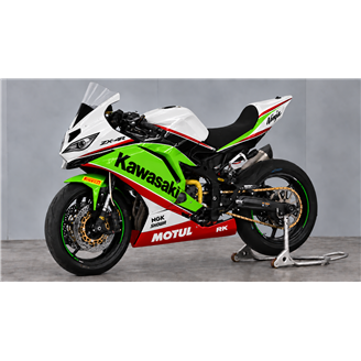 Painted Race Fairings Kawasaki Ninja ZX4-R 2024 - 2026 - MXPCRV19819