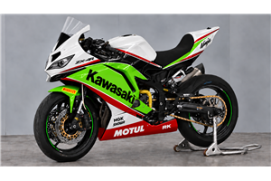 Painted Race Fairings Kawasaki Ninja ZX4-R 2024 - 2026 - MXPCRV19819