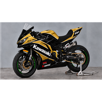 Carenage Racing Peint Kawasaki Ninja ZX4-R 2024 - 2026 - MXPCRV19820