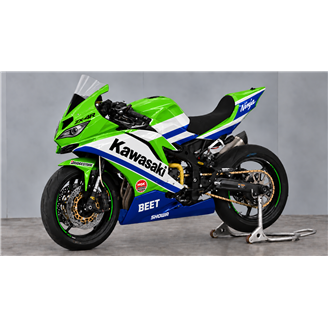 Lackierte Rennverkleidung Kawasaki Ninja ZX4-R 2024 - 2026 - MXPCRV19821