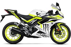 Carenage en abs pour la roue avec peinture compatible avec Yamaha YZF R125 2019 - 2020 - MXPCAV16661