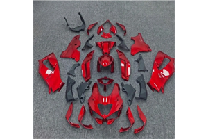 Lackierte Straße Verkleidung auf ABS kompatibel mit Kawasaki ZX10R 2026 - 2027 - MXPCAV19911