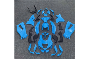 Carenage en abs pour la roue avec peinture compatible avec Kawasaki ZX10R 2026 - 2027 - MXPCAV19912