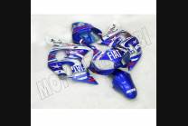 Lackierte Straße Verkleidung auf ABS kompatibel mit Yamaha R6 1999 - 2002 - MXPCAV3261