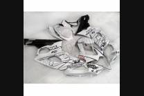 Carenage en abs pour la roue avec peinture compatible avec Suzuki Gsxr 1000 2005 - 2006 - MXPCAV3352