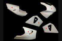 Honda CBR 900 RR 1998 1999 race Fairings without Front Fender - MXPCRD3620