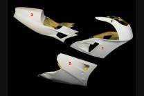 Kawasaki ZXR 400 Fairings without Front Fender - MXPCRD3645 -