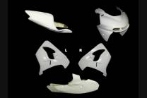 Carénages Kawasaki Zx9R 2000 - 2003 sans Pare-boue Racing - MXPCRD3652