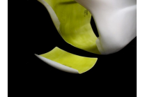 Carénages - MXPVCR3703 2