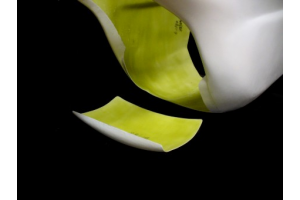 Fairing MXPVCR3703 