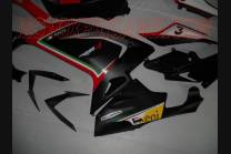 Carenados en abs pintados para la calle compatible con Aprilia RS 125 2006 - 2010 - MXPCAV4509