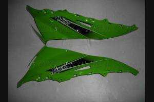 Carenage en abs pour la roue avec peinture compatible avec Kawasaki ZX10R 2011 - 2015 - MXPCAV4597