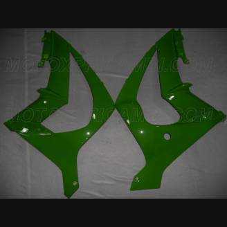 Carenage en abs pour la roue avec peinture compatible avec Kawasaki ZX10R 2011 - 2015 - MXPCAV4597