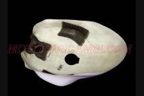 Tankabdeckung Ducati 1199 Panigale - MXPCRD4664 2