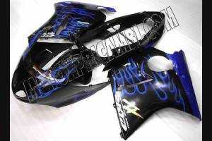 Painted street fairings in abs compatible with Honda Cbr 1100 XX 1997 - 2001 - MXPCAV4900