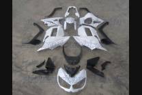 Complete and unpainted fairing in abs 2