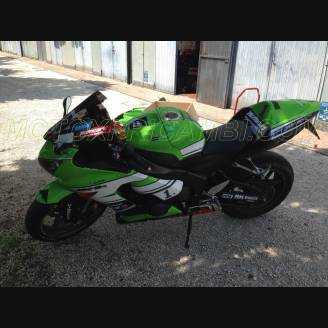 Lackierte Straße Verkleidung auf ABS kompatibel mit Kawasaki ZX6R 636 2005 - 2006 - MXPCAV5449
