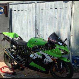 Lackierte Straße Verkleidung auf ABS kompatibel mit Kawasaki ZX6R 636 2005 - 2006 - MXPCAV5449