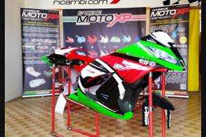 Lackierte Rennverkleidung Kawasaki Zx10R 2011 - 2015 - MXPCRV5473