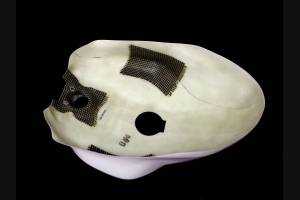 Painted Tank cover for Ducati 1199 panigale - MXPCRV5510