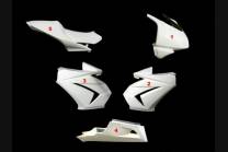 carenado Kawasaki Zx 250 2008 - 2012 sin guardabarros Racing - MXPCRD5555