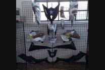 Carenados en abs pintados para la calle compatible con Yamaha T Max 530 2012 - 2014 - MXPCYT5557