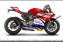 Painted street fairings in abs compatible with Ducati 899 1199 Panigale - MXPCAV5561