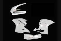 carenados Ducati 1299 959 Panigale sin colin Silenciador Akrapovic - MXPCRD5643