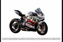 Carenado Racing Pintado Ducati 1199 899 Panigale - MXPCRV5657