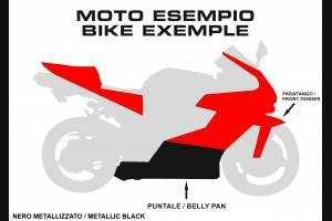 Lackierte Rennverkleidung Yamaha R1 2009 - 2014 mit 2 Farben + frei Grafiken - MXPCRV5689