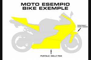 Painted Race Fairings Yamaha R1 2009 - 2014 in 2 Colours like the picture + stickers for free - MXPCRV5690