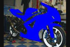 Painted Race Fairings Suzuki Gsxr 1000 2007 - 2008 in 2 Colours like the picture + stickers for free - MXPCRV5704