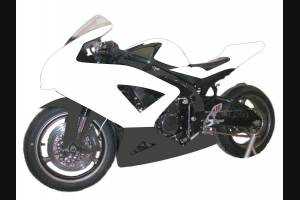 Painted Race Fairings Suzuki Gsxr 600/750 2008 -2010 in 2 Colours like the picture + stickers for free - MXPCRV5714