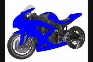 Painted Race Fairings Suzuki Gsxr 600/750 2008 -2010 in 2 Colours like the picture + stickers for free - MXPCRV5716