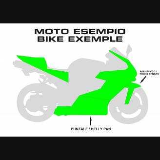 Carenado Racing Pintado Kawasaki Zx10R 2008 - 2010 - MXPCRV5721