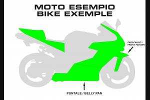 Carenado Racing Pintado Kawasaki Zx10R 2008 - 2010 - MXPCRV5721