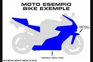 Painted Race Fairings Kawasaki Zx10R 2008 - 2010 in 2 Colours like the picture - MXPCRV5722