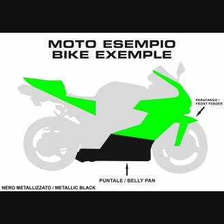 Carenado Racing Pintado Kawasaki Zx10R 2008 - 2010 - MXPCRV5723