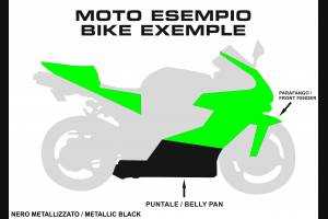 Carene Racing Verniciate Kawasaki Zx10R 2008 - 2010 - MXPCRV5723