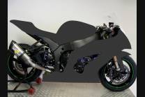 Carene Racing Verniciate Kawasaki Zx10R 2011 - 2015 - MXPCRV5725