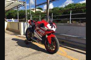 Painted Race Fairings Ducati 1299 959 Panigale - MXPCRV5844